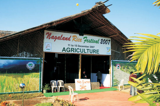 Nagaland Rice Festival 2007