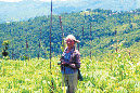 A Woman working in the field